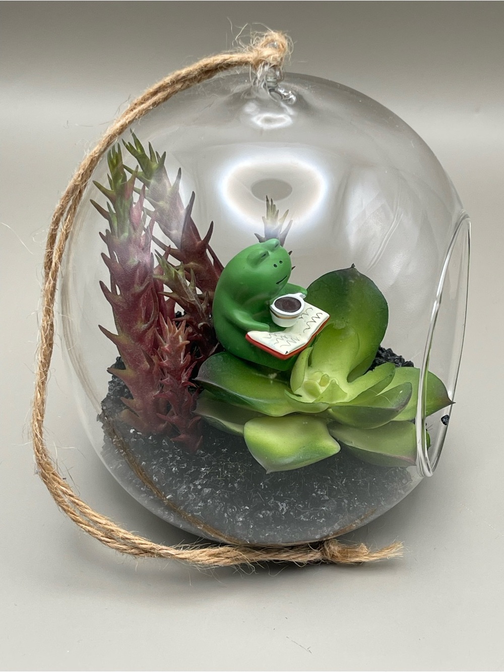 🐸 Happy Place Terrarium – Hanging Glass Decor ☕️📖 - Picture 6 of 8